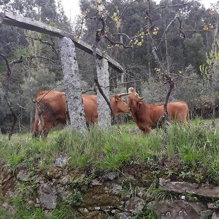 Aroucanatur